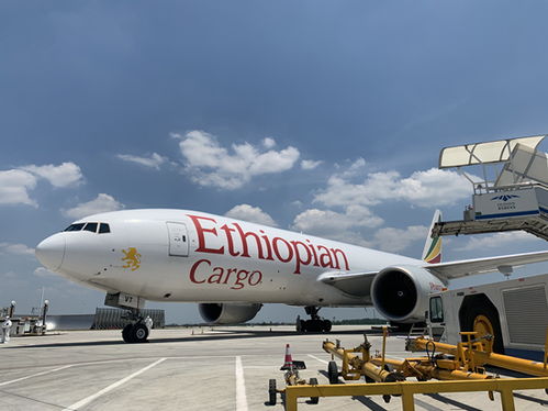 湖南開(kāi)通首條直飛非洲貨運(yùn)航線 長(zhǎng)沙至亞的斯亞貝巴首航